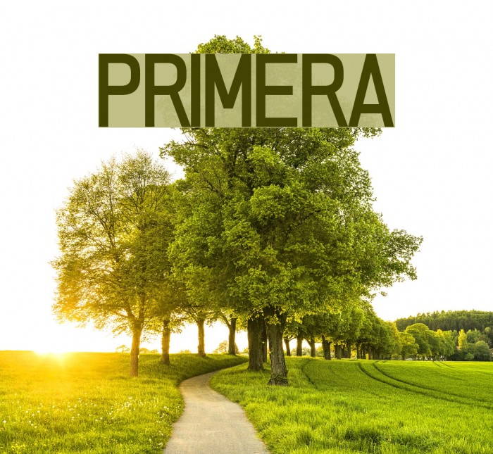 PRIMERA Font examples