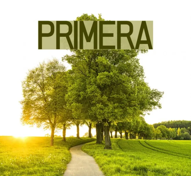PRIMERA Example 1