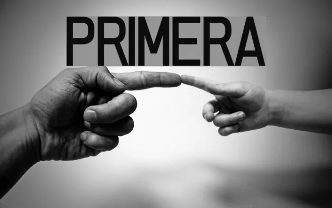 PRIMERA Example 2