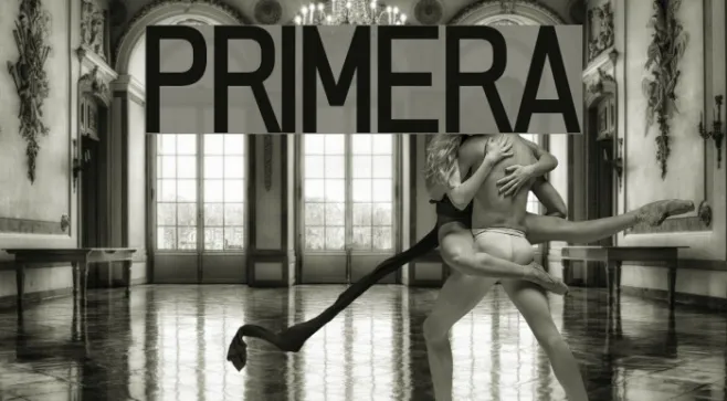 PRIMERA Example 3
