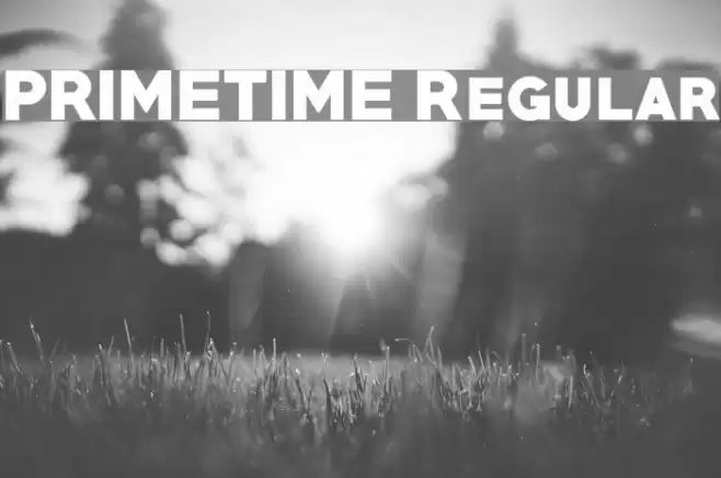 PRIMETIME Regular Font examples