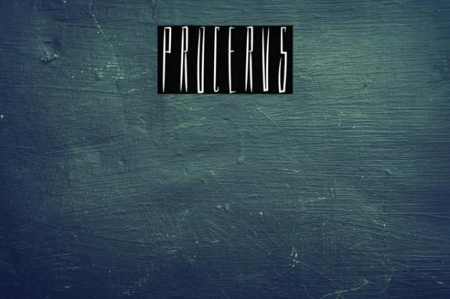 PROCERUS Example 2