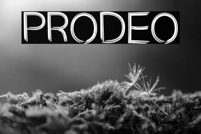 PRODEO Font examples