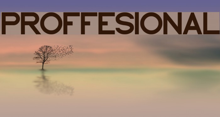 PROFFESIONAL Font examples