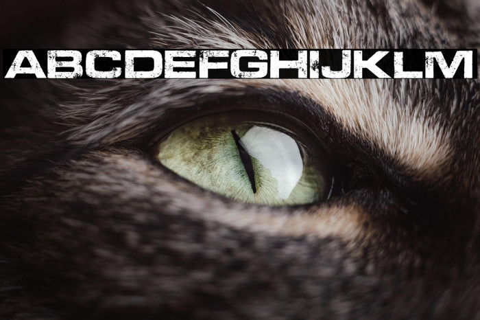 PROGRESS PERSONAL USE  Example 2