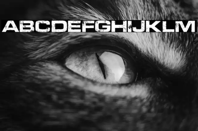 PROGRESS PERSONAL USE  Font examples