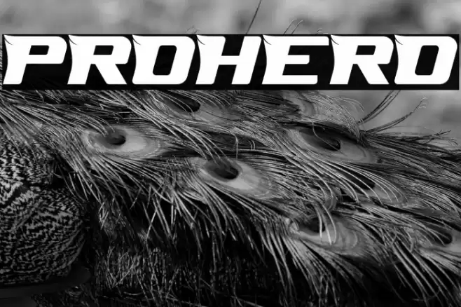PROHERO Font examples