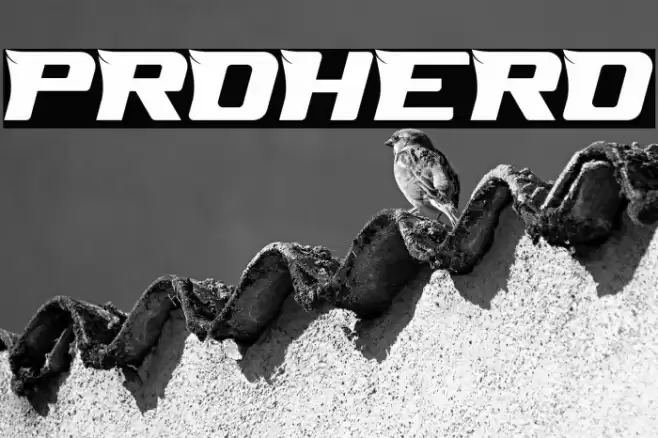 PROHERO Font examples