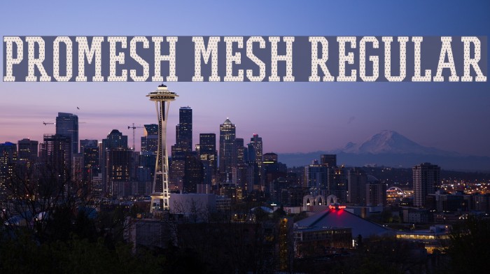 PROMESH Mesh Regular Font examples