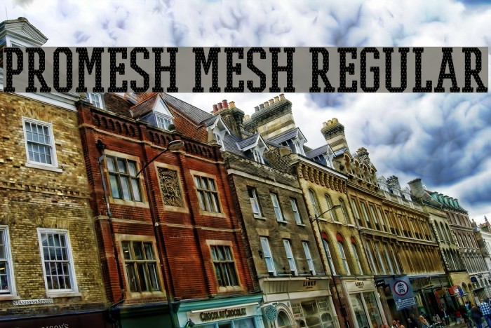PROMESH Mesh Regular Font examples