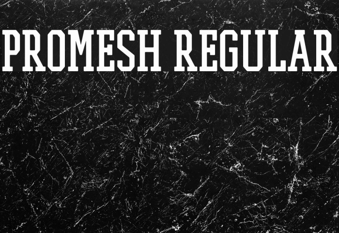 PROMESH Regular Font examples