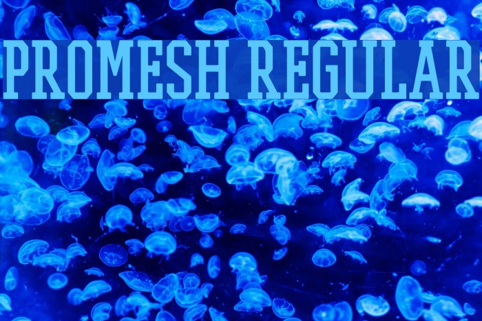 PROMESH Regular Font examples