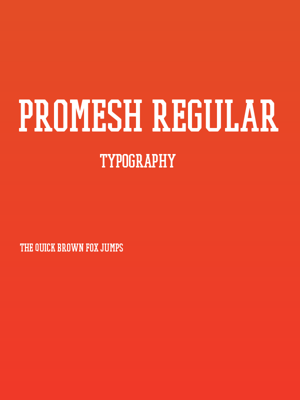 PROMESH Regular Poster