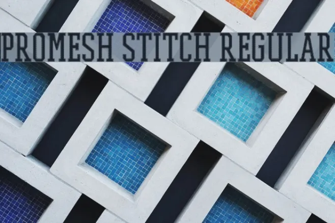 PROMESH Stitch Regular Example 2