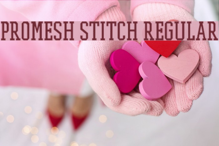 PROMESH Stitch Regular Font examples