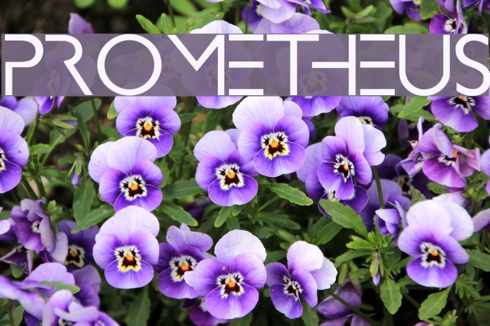 PROMETHEUS Example 3