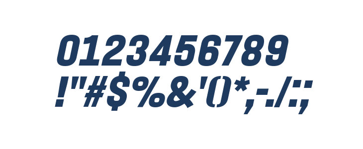 PROMINDER Italic Other Characters