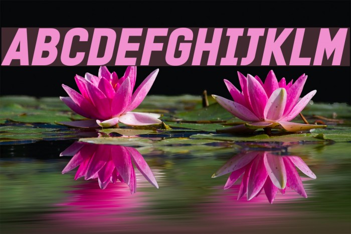 PROMINDER Italic Example 3