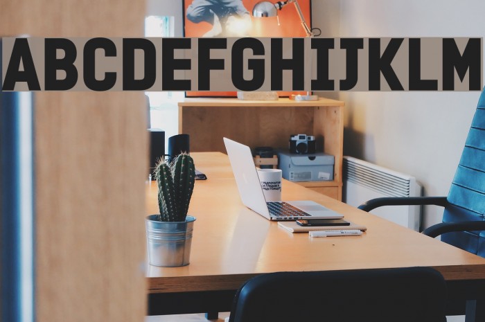 PROMINDER Font examples