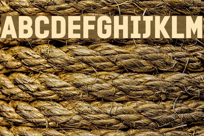 PROMINDER Font examples