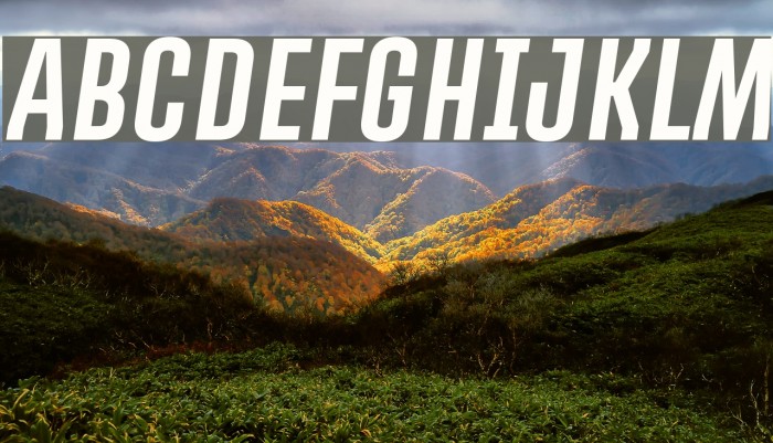 PROMOVA Italic Example 1