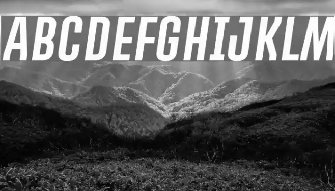 PROMOVA Italic Font examples