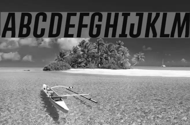 PROMOVA Italic Font examples