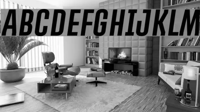 PROMOVA Italic Font examples