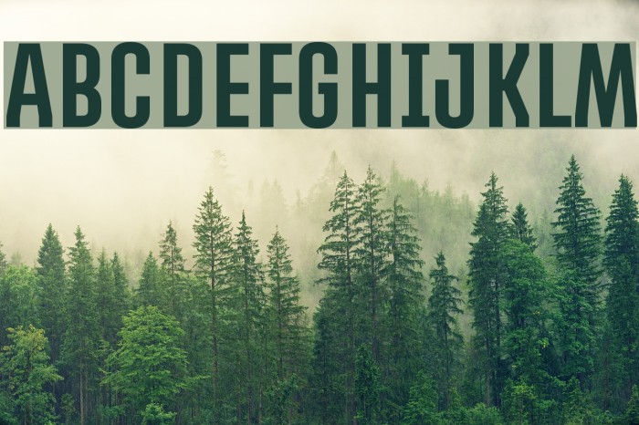 PROMOVA Font examples