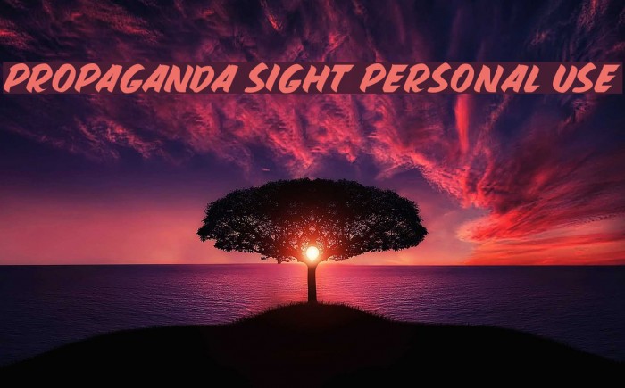 PROPAGANDA SIGHT PERSONAL USE Font examples