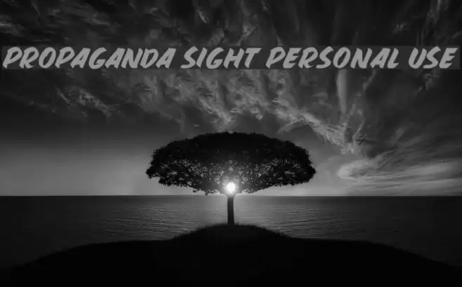 PROPAGANDA SIGHT PERSONAL USE Font examples