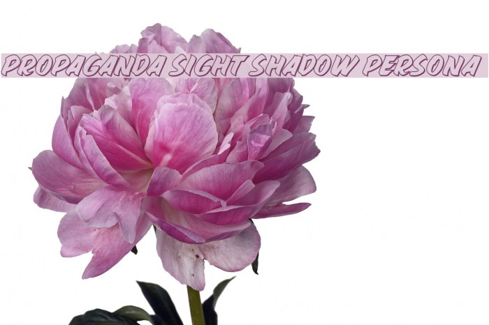 PROPAGANDA SIGHT SHADOW PERSONA Font examples