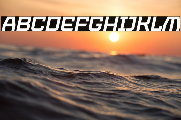 PROTECTOR Italic Example 1