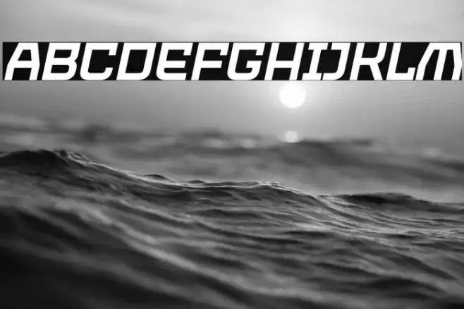 PROTECTOR Italic Font examples