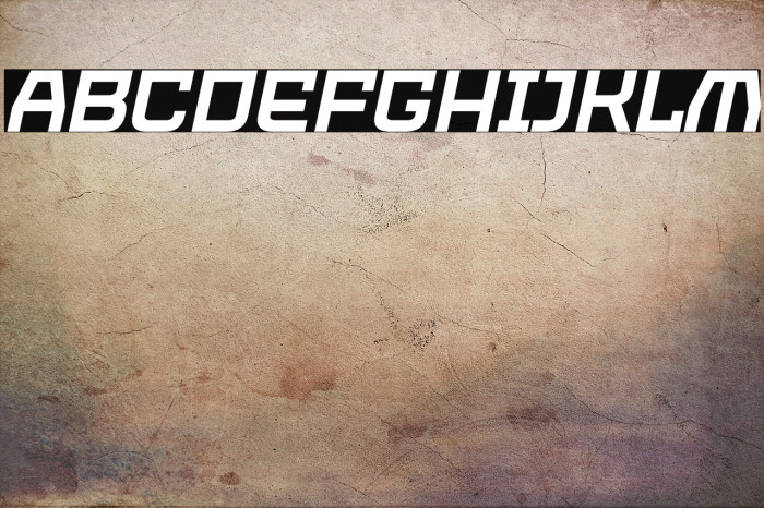 PROTECTOR Italic Example 3