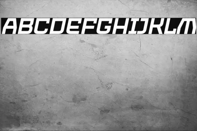 PROTECTOR Italic Font examples