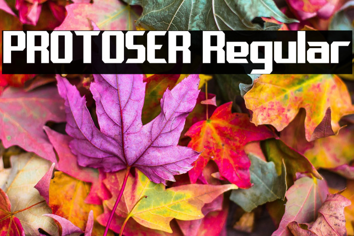 PROTOSER Regular Example 3