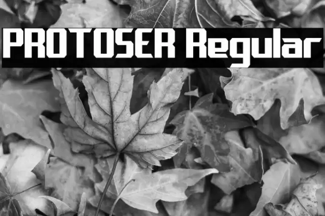 PROTOSER Regular Fuentes examples