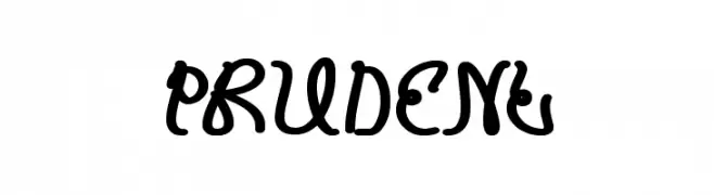 PRUDENT 