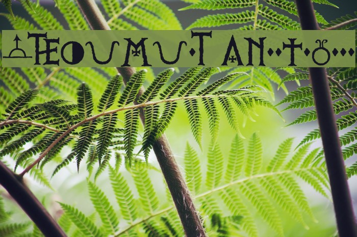 PRViking Alternates Font examples