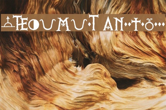 PRViking Alternates Font examples