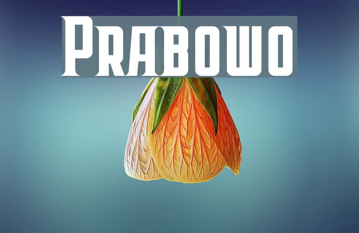 Prabowo Fonte examples