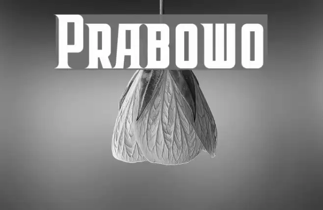 Prabowo Fonte examples