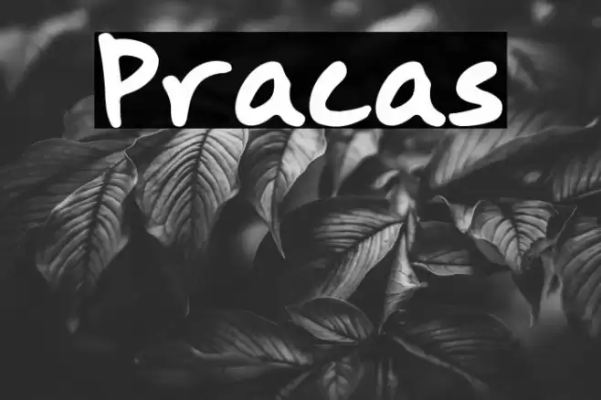 Pracas फ़ॉन्ट examples