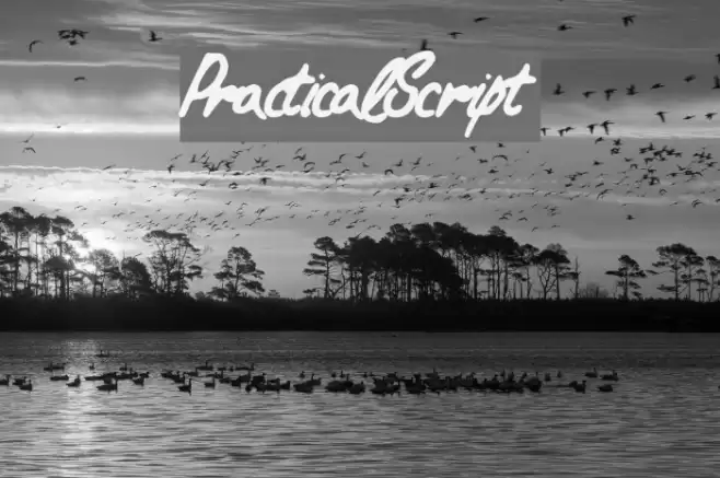 PracticalScript Font examples