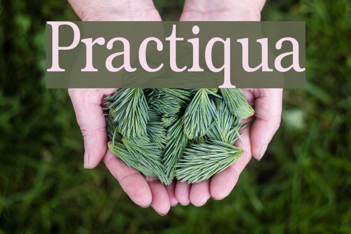 Practiqua Font examples