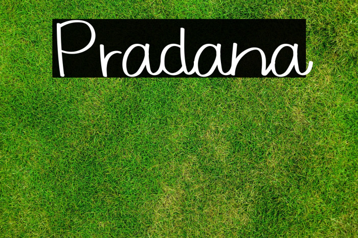 Pradana Example 1