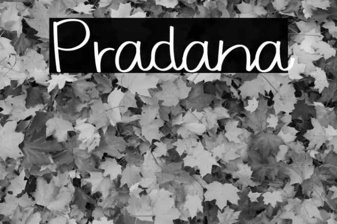 Pradana Font examples