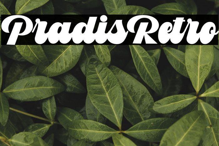 PradisRetro Example 1