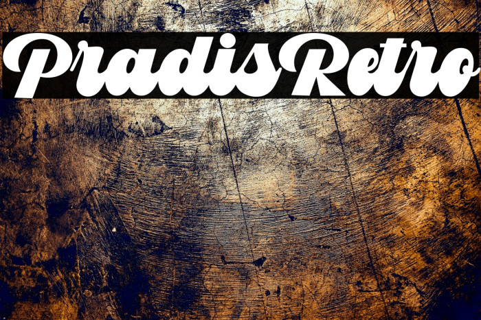 PradisRetro Example 2